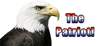 WELCOME TO THE RADWING.COM E-STORE